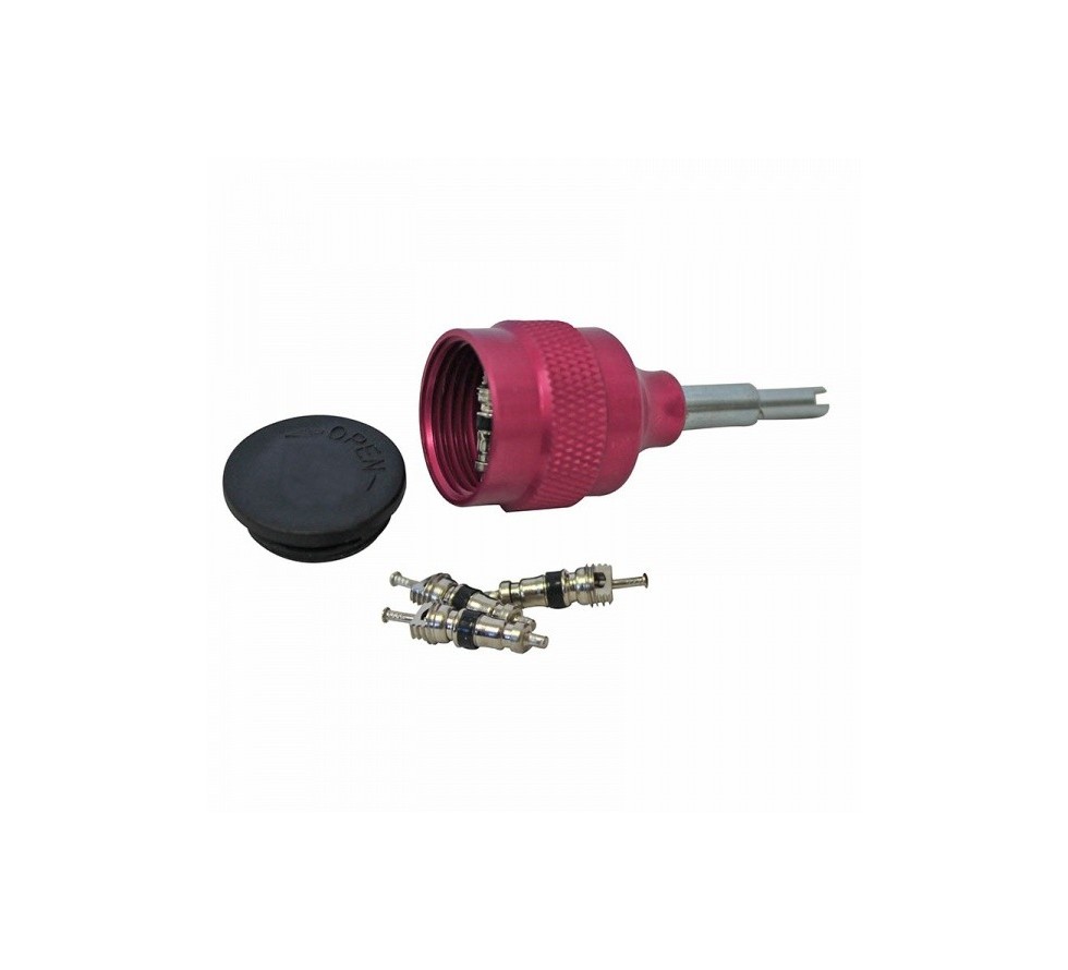 Universal valve core remover/installer kit for R12