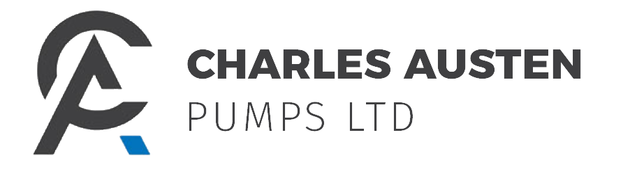Charles Austen Pumps